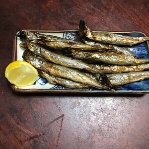 カリッ！ふわっ！子持ちししゃもの美味しい焼き方